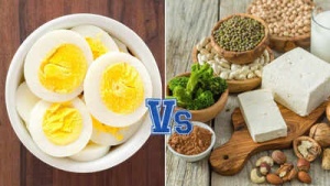 Vegetarian Powerhouses: 20 Plant-Based Foods Surpassing Eggs in Protein
OR
Beyond the Egg: Top 20 Vegetarian Protein Sources for a Healthy Diet