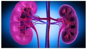Kidney health and heartburn: Common medications for ‘regular’ issues that can lead to kidney failure
