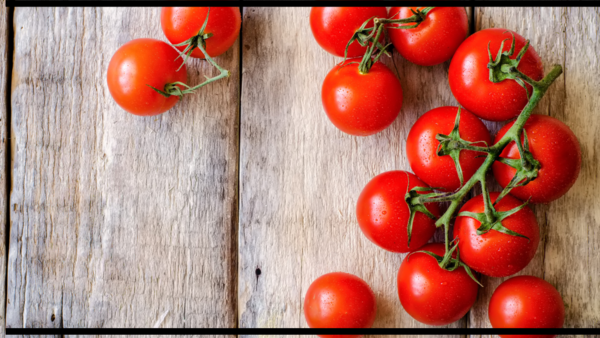 Fresh and juicy red tomatoes