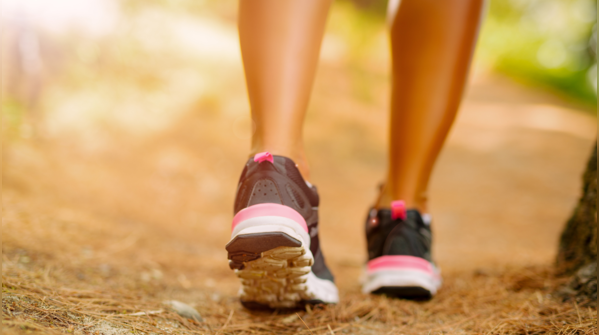 A person enjoys a walk in the park