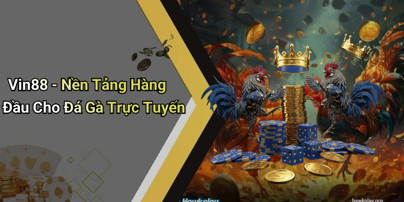 Vin88 - Nền Tảng Hàng Đầu Cho Đá Gà Trực Tuyến