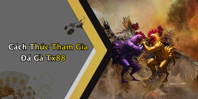 Cách Thức Tham Gia Đá Gà Tx88