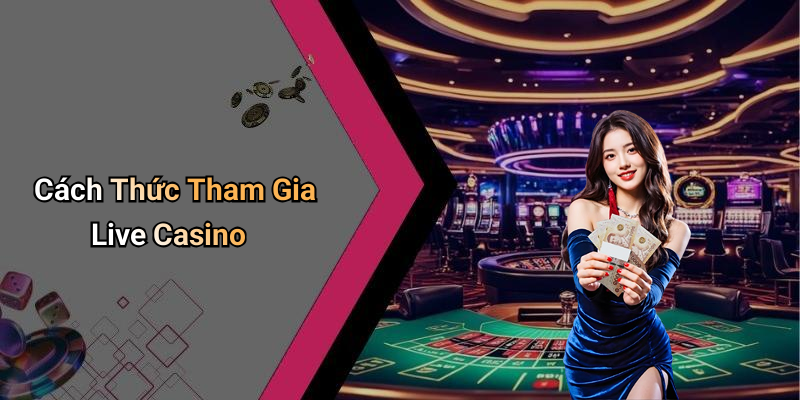 Cách Thức Tham Gia Live Casino