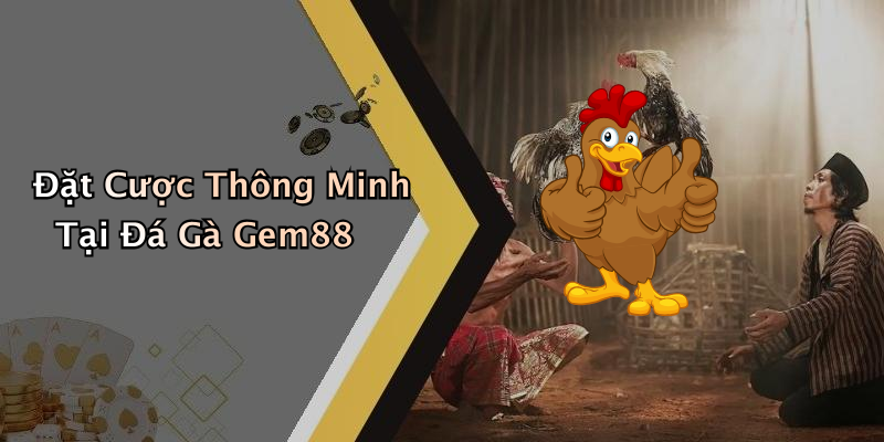 Đặt Cược Thông Minh Tại Đá Gà Gem88