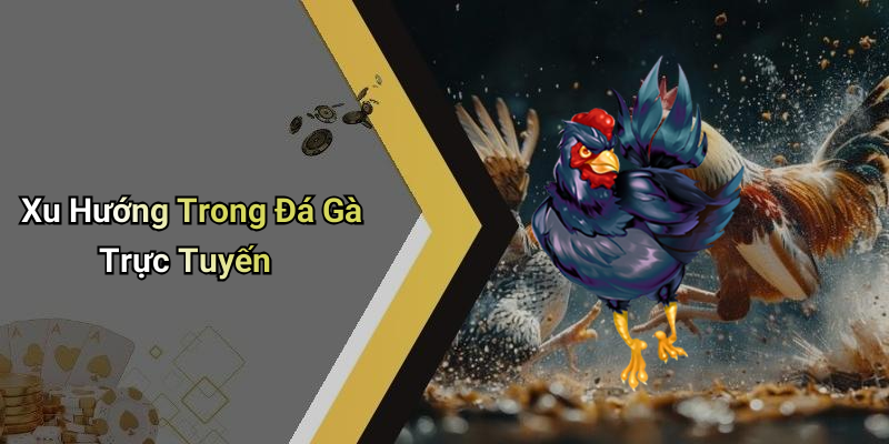 Xu Hướng Trong Đá Gà Trực Tuyến