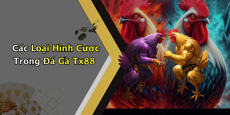 Các Loại Hình Cược Trong Đá Gà Tx88